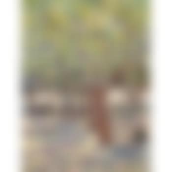 Vue De St. Tropez (preview)