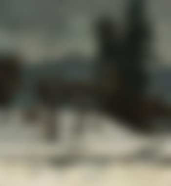 Neige (preview)