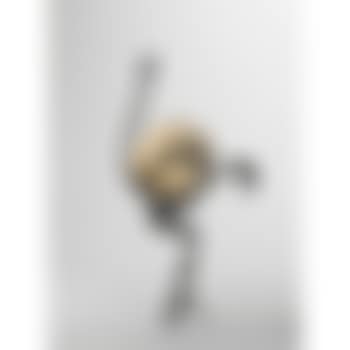 L'autruche (preview)