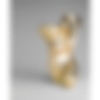 Torse-profil (preview)