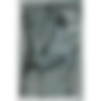Cavallo e Cavaliere (Horse And Rider) (preview)