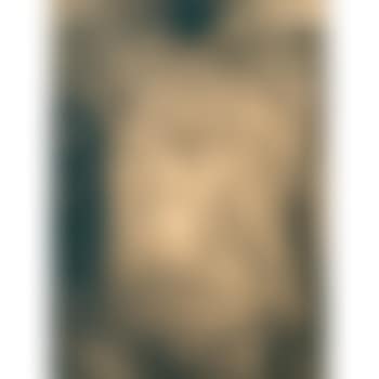L'infante (preview)