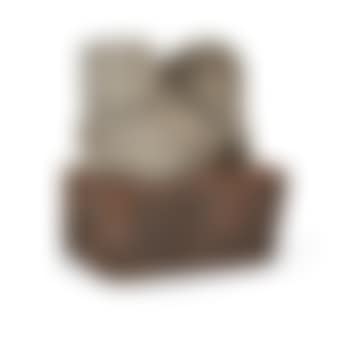 Three faced cat (preview)