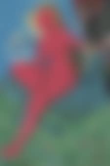 Raysseland (preview)