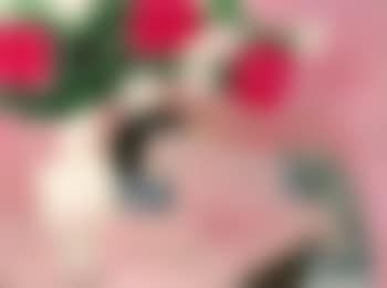 Les pivoines (preview)