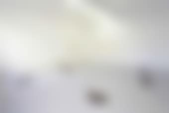 White Breathing (preview)