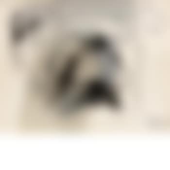 Untitled (drawing) (preview)