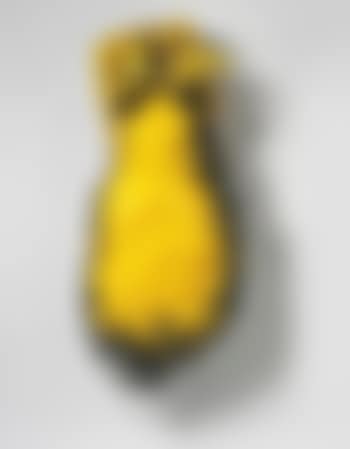 Pollen (preview)