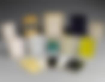 13 Artist's Books; 1 Monograph (preview)