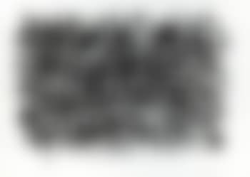 Untitled (Government And Business) (preview)