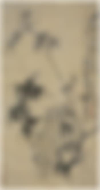 Bamboo and rock (preview)