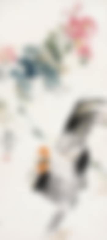 Rooster under the cotton roses (preview)