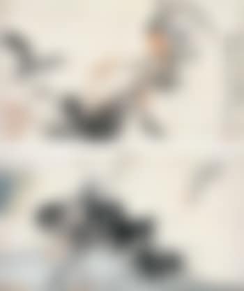Flowers and birds (preview)