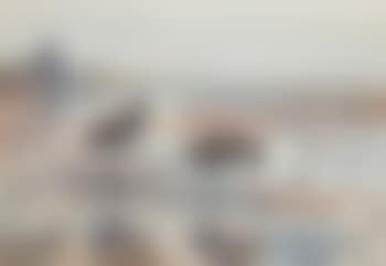 Snipe (preview)