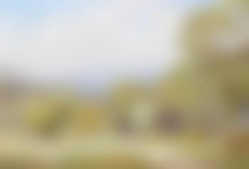 Burrington, Somerset (preview)