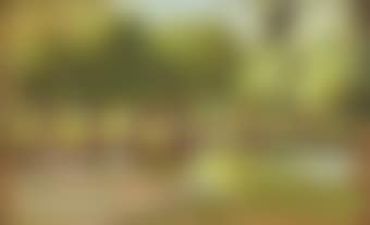 A wooded river landscape (recto), and A Spring wood (verso) (preview)
