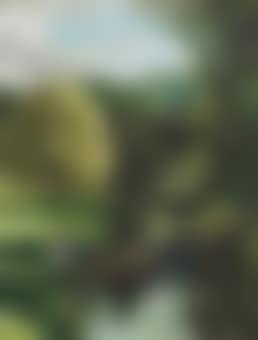 A summer's day on the river (preview)