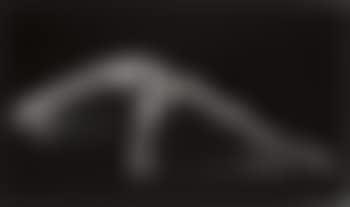 Perspective II (preview)