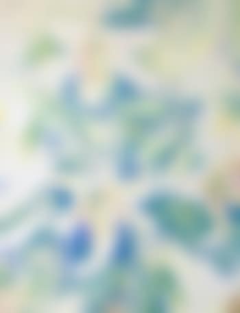 Lilies (preview)