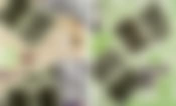 Untitled (two works) (preview)