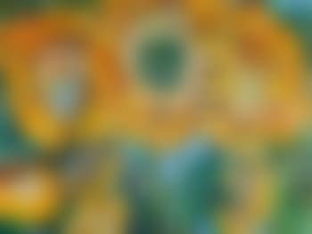 Girl and Sunflowers (preview)