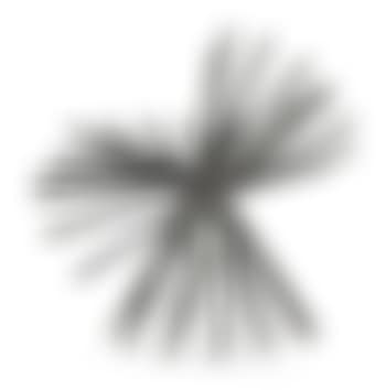 Spiral Form No. 1 (preview)