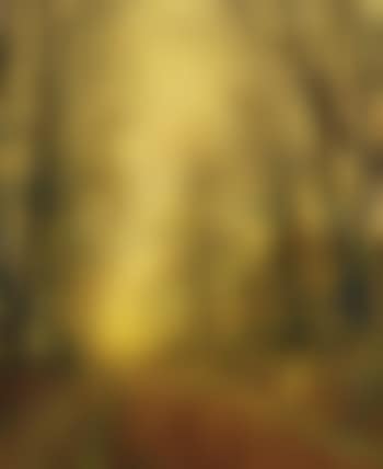 In Autumn's Golden Glow (preview)