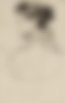 A portrait of a lady with a ribbon (recto); Two female nudes (verso) (preview)