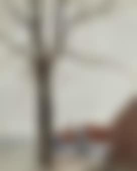 Tree near a village (preview)