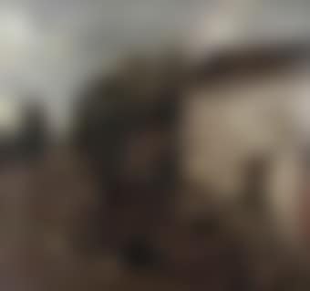 A cart and chicken by a farm (preview)