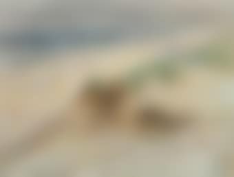 A sunny day on the beach of Bergen aan Zee (preview)