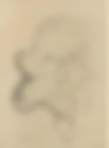 Visage et dessin anatomique (preview)