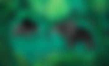 Badende elefanter (preview)