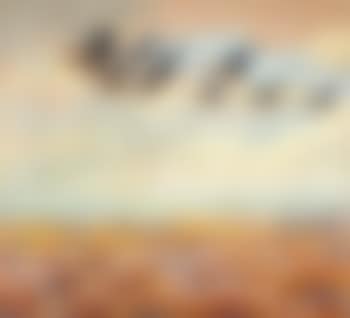Flying Greylag Geese (preview)
