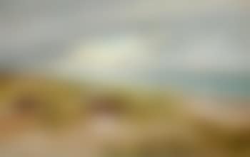 View of the beach and sea at Tisvilde, North Zealand (preview)