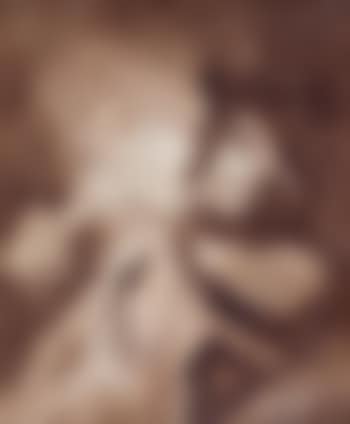 Le fumeur allumant sa pipe (preview)