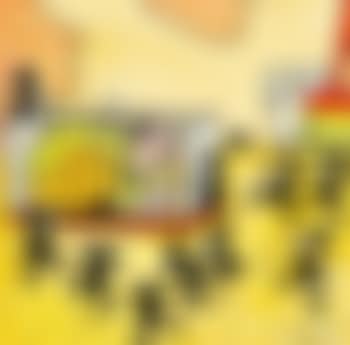 Den Omvendte Verden (preview)