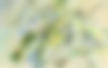 Debussy, Printemps (preview)
