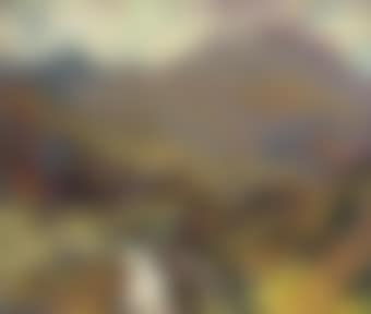 In the Cairngorms, late Summer (preview)