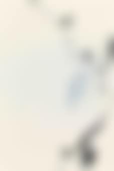 Face O'graph without chain (recto); Anvil (verso) (preview)