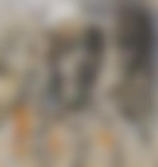 Las indias (preview)