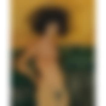 Desnudo (Fleur Du Mal) (preview)