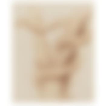 Snake (preview)