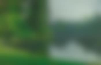 Au bord du lac (preview)