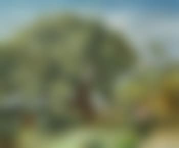 A landscape near Apt (preview)