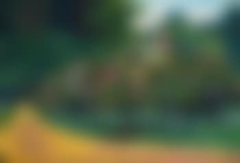 A blossoming bush in a park (preview)