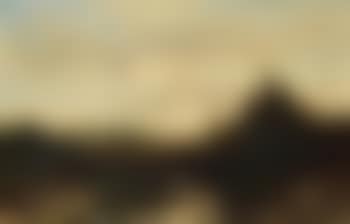 A forested landscape (preview)