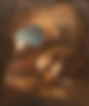 Animaux dans une grotte (preview)