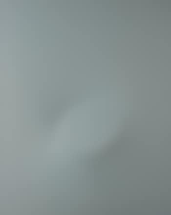 Oval gris (preview)