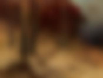 Reisigsammler am Rande eines Waldes (preview)